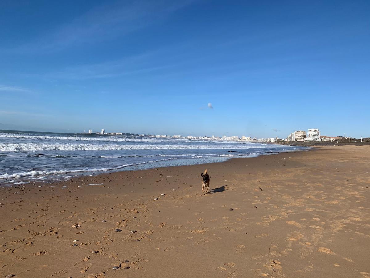 Appartement Vue Sur Mer Talmont-Saint-Hilaire エクステリア 写真